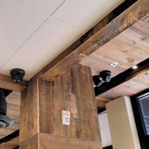 Security surveillance cameras